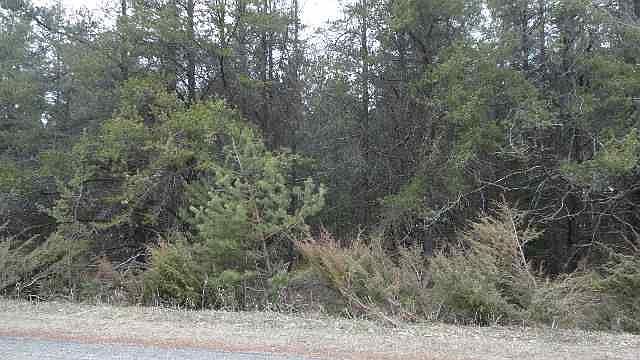 2nd image of #57 Port Drive