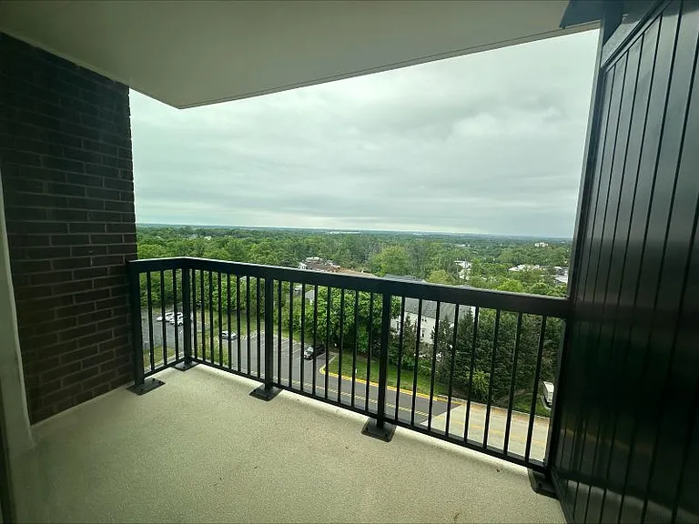 9727 Mount Pisgah Rd — Photo 172