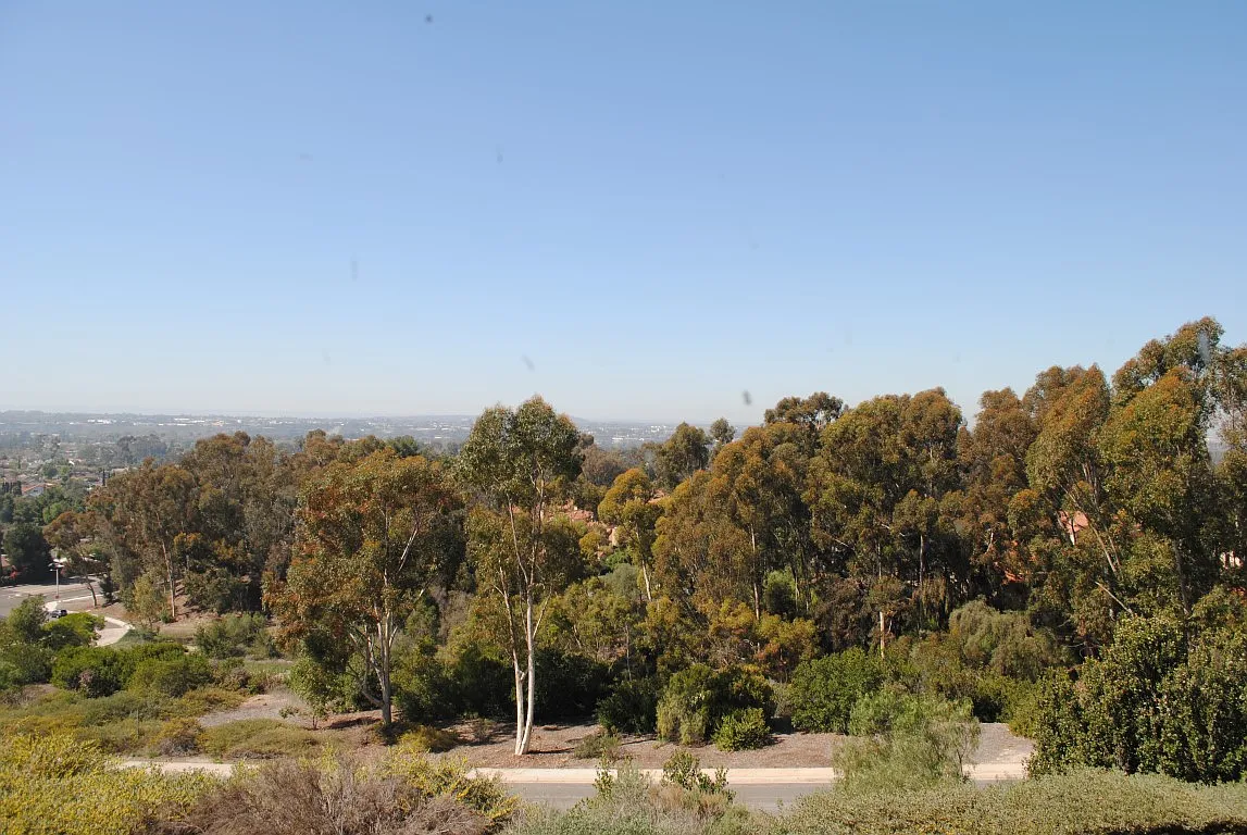 Building Photo - 4898 Tinasa Way