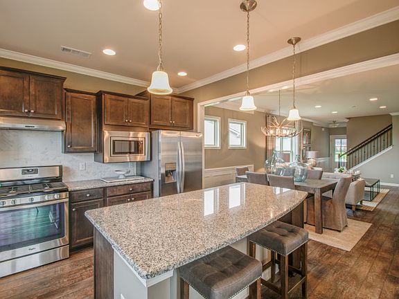 Model Representation