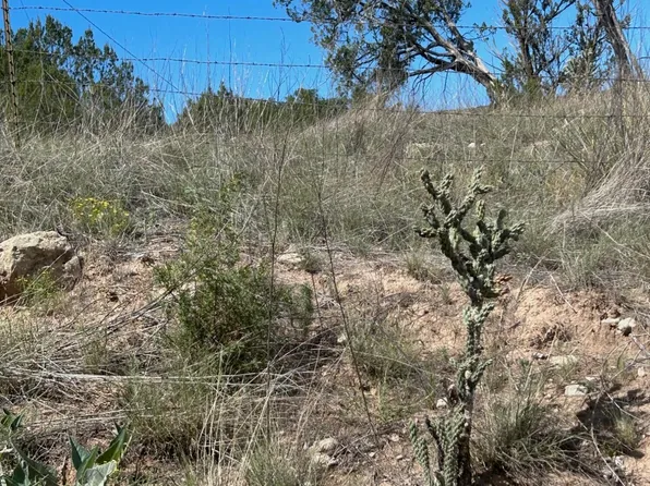 103 La Cuesta Ln, Lincoln, NM 88338