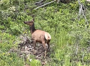 Nna Wolverine Rd TRACT 2, Moyie Springs, ID 83845