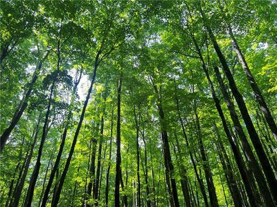 0 Pershing Road, Shell Lake, WI, 54871