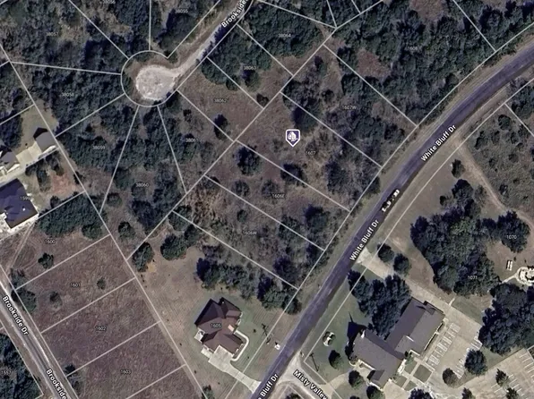 1607 White Bluff Dr, Whitney, TX 76692