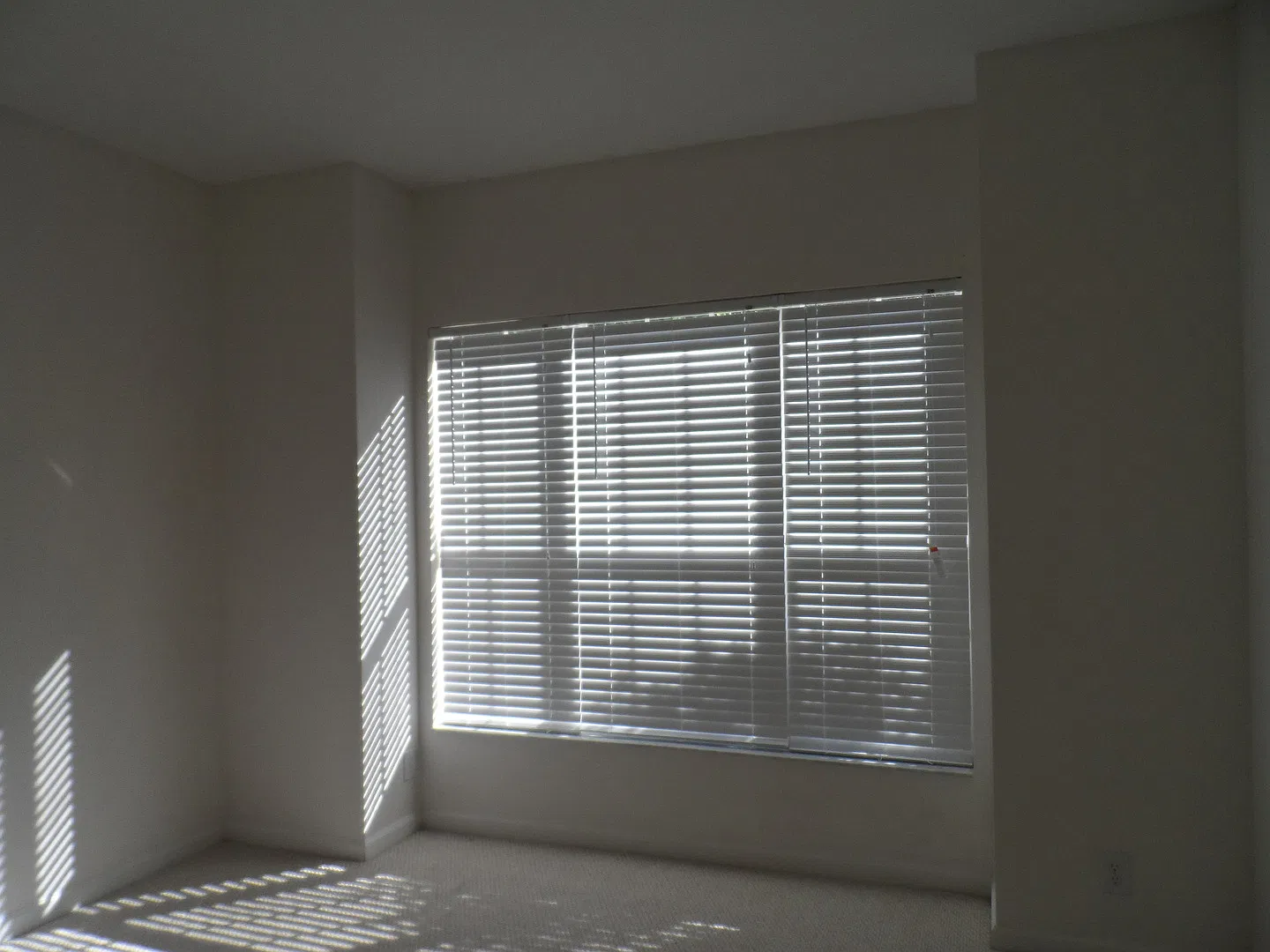 3 bed, 2.0 bath, 1676 sqft, $2,300 — Photo 3