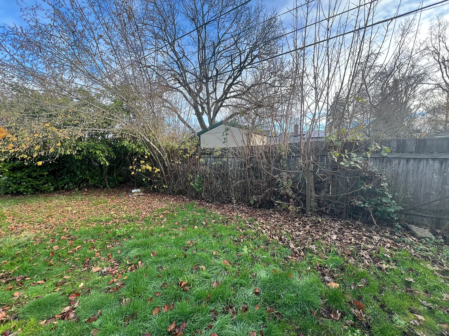 1 bed, 500 sqft, $1,350 — Photo 4