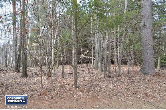 2nd image of 4786 Lost Creek Ln