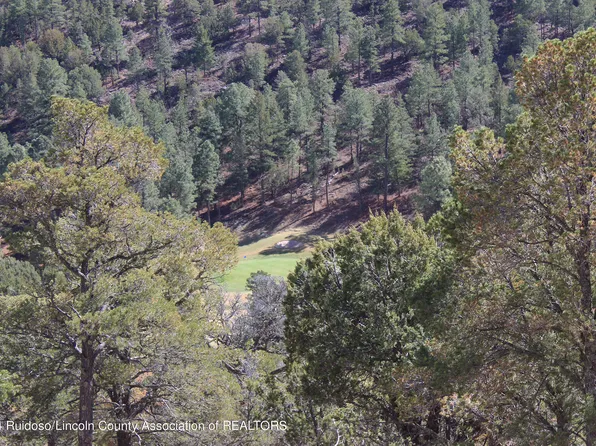 50B Bobby Jones Ln, Alto, NM 88312