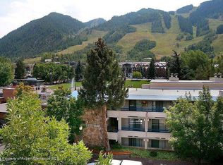 301 E Hyman Ave #102, Aspen, CO 81611