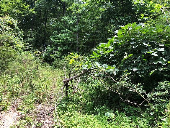 5th image of 224-225 Old Mill Rd
