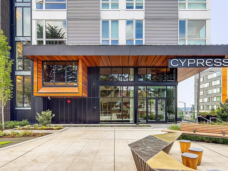 Cypress — Photo 22