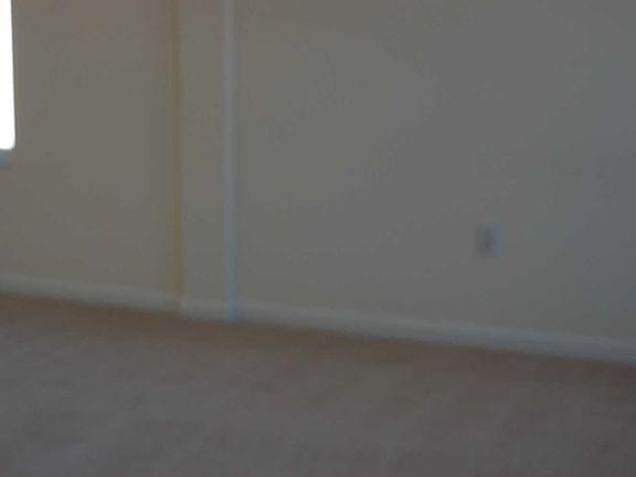 5th image of 931 Evergreen Park Ln