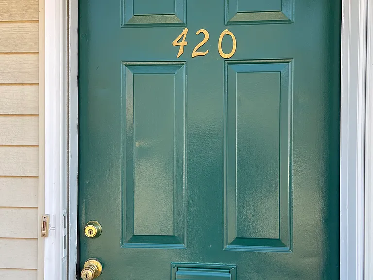 420 Brackinhouse Pl #420 — Photo 6