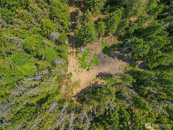 2nd image of 905 NE Tahuya Blacksmith Road