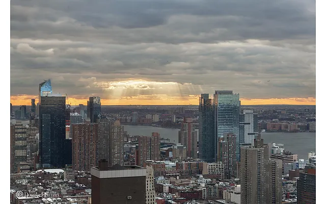 Sold by Douglas Elliman | media 19