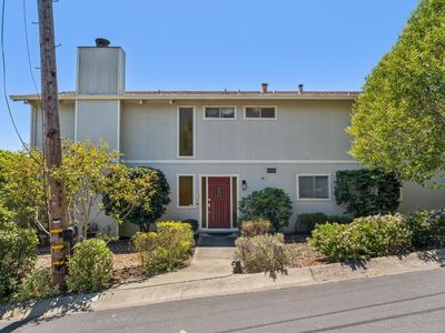 1 Bay Vista Court, Mill Valley, CA, 94941
