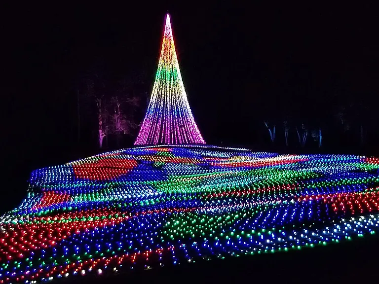 Callaway - Fantasy in Lights!