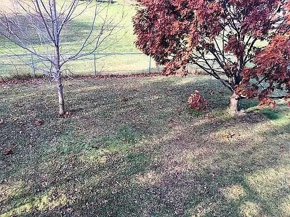 2nd image of 1074 Regency Dr