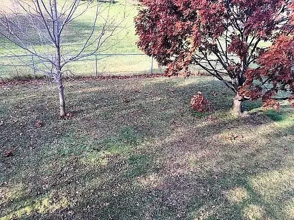 1074 Regency Dr — Photo 2