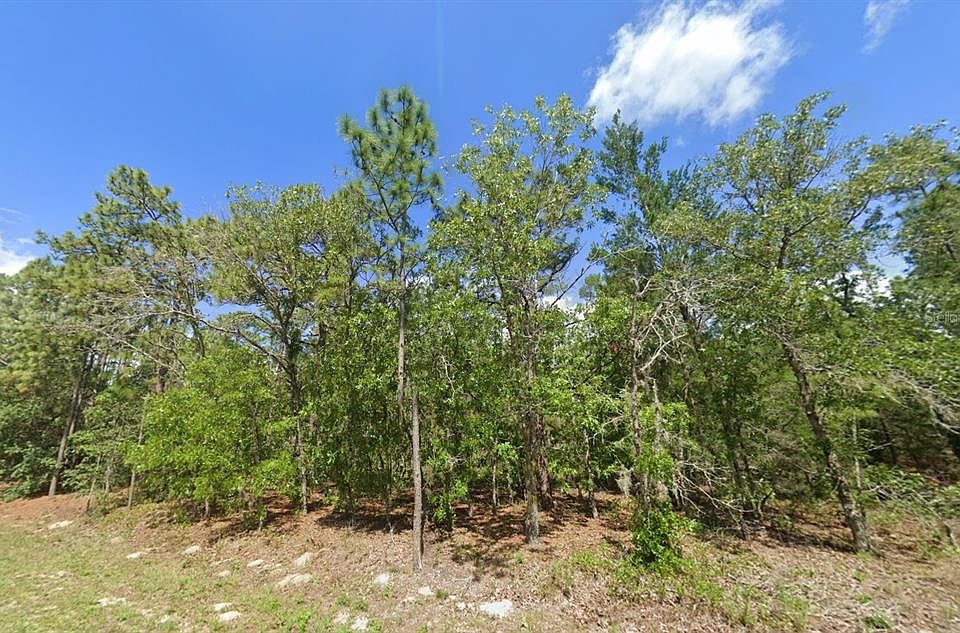 1st image of 1950 CR 243B LOT 2