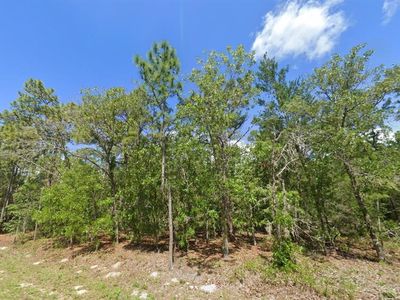 1950 County Road 243b Lot 2, Wildwood, FL, 34785