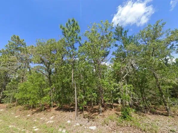 1950 County Road 243b Lot 2, Wildwood, FL 34785