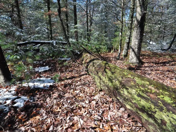 3.95ac County Road Z, Arkdale, WI 54613