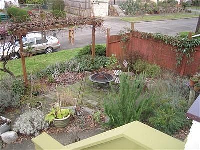 View of grape arbor from front porch