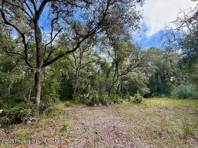 0 Gresham Rd, Webster, FL, 33597