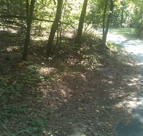 3rd image of 255 Barker Dr