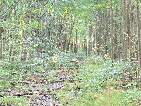 2nd image of 267 W County Road 300 N