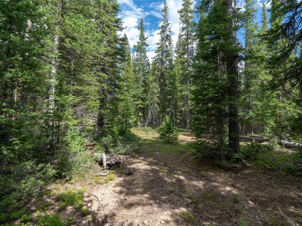 376 Robertson Ln, Breckenridge, CO 80424