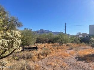 6105 S Alameda Rd #169, Gold Canyon, AZ 85118