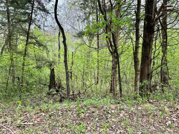 0 Brook Rd Lot 2-45, Dittmer, MO 63023