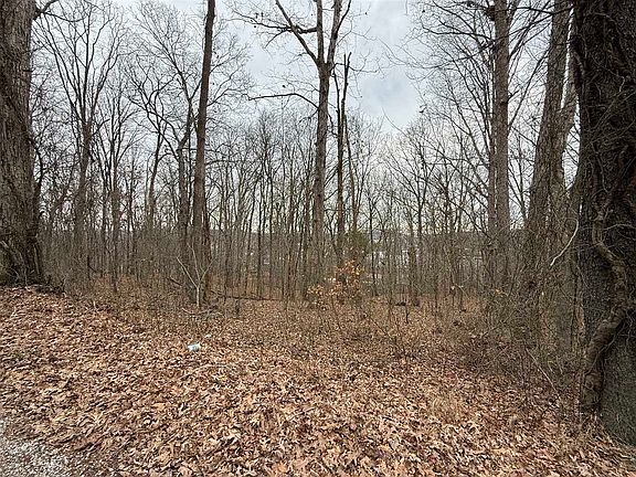 3rd image of 0 Pitcher Rd S