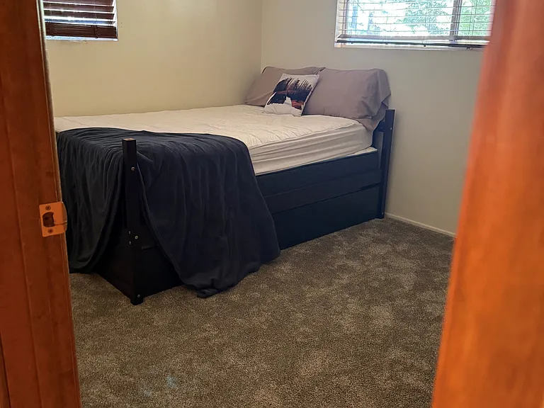 Downstairs Bedroom