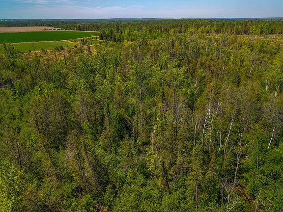 5th image of 14390 Taylor Hawks Rd