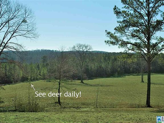 2nd image of 296 Deer Run Dr