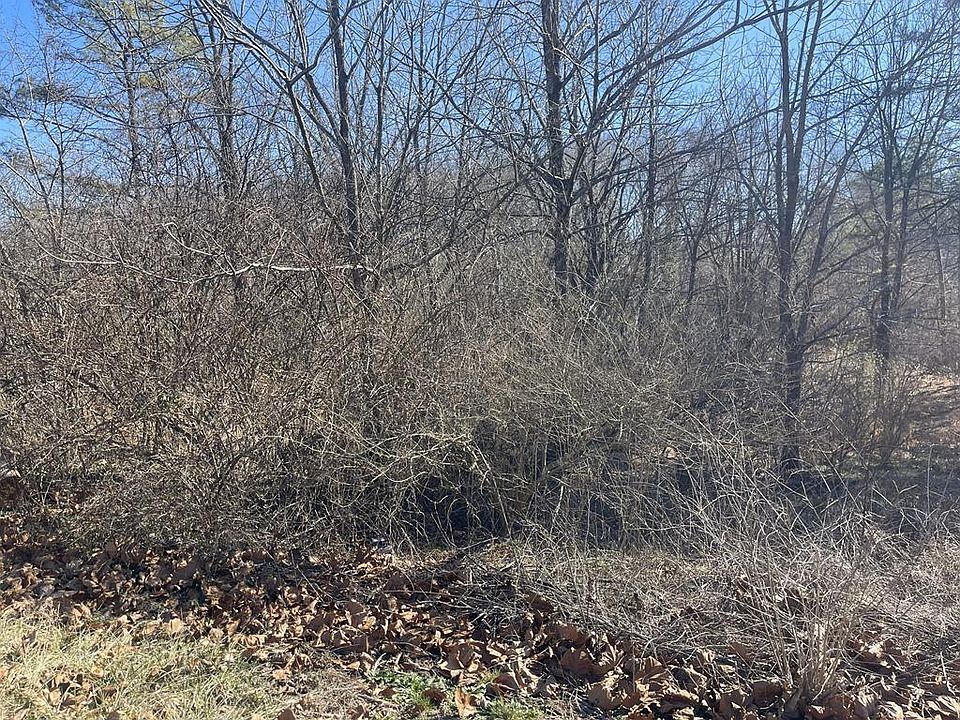 1st image of 0 Livesay St