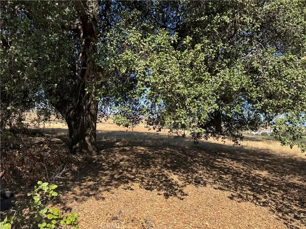 61 Redwood Ln Lot 2, Calimesa, CA 92320