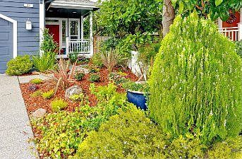 Front :: 23 Presidio