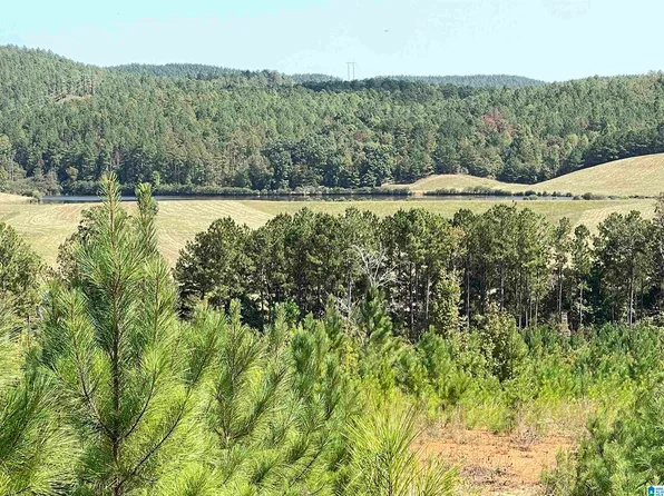 0 County Road 18 #0, Talladega, AL 35160
