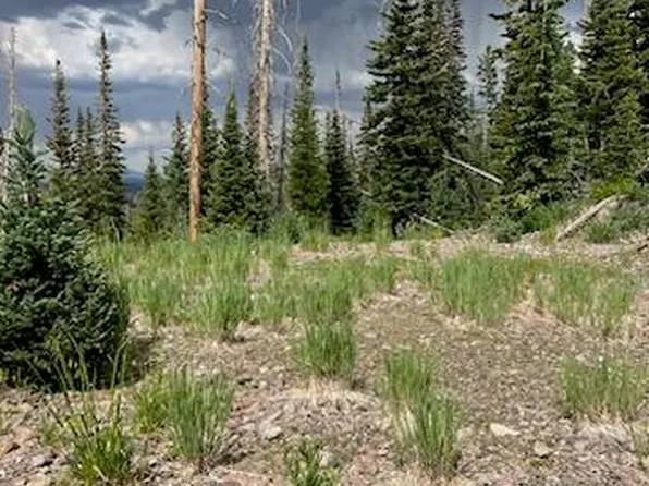 382 E Steam Engine Dr, Brian Head, UT 84719