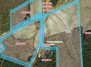 45 Speights Bridge Road, Walstonburg, NC 27888