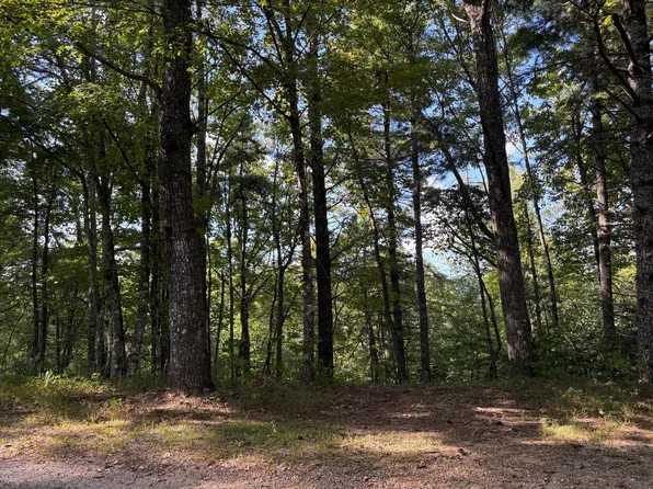 5 Oakwood Rd, Walland, TN 37886