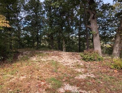 000 Clear Springs Trail, Windyville, MO, 65783