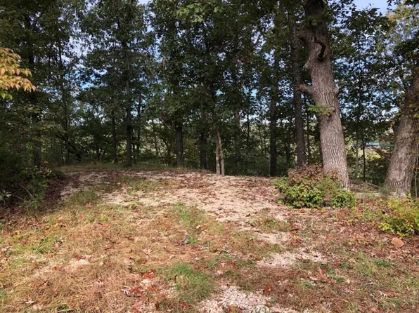 000 Clear Springs Trail, Windyville, MO 65783