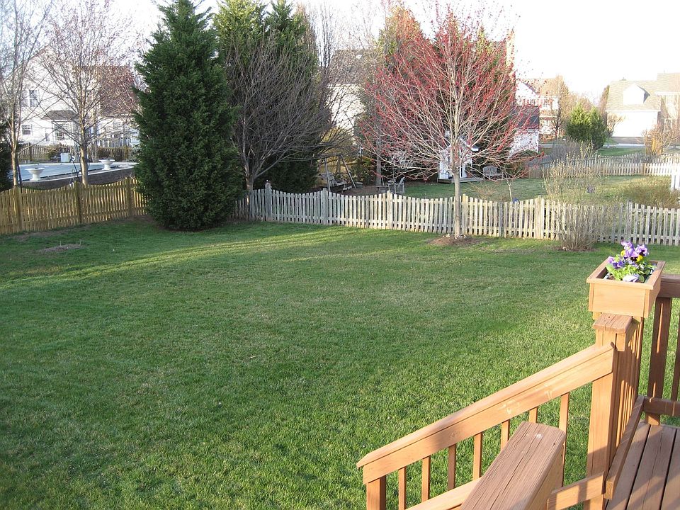 View from Deck