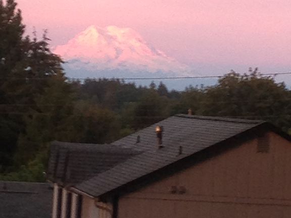 view from livingroom
