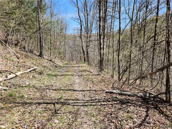 0 Bowie Rd, Utica, NY 13502